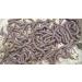 WENXUANSU: Precious dried seafood Sipunculus nudus 8 ounce (227 gram) sandworms from Nanhai - Buy Online on GoSupps.com