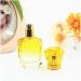 Buy 5pc 30ml Colorful Perfume Bottles - Travel-Friendly Refillable Glass Makeup Containers | Red Color - Ideal for Cosmetics & Perfumery - Buy Online on GoSupps.com
