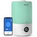LEVOIT Smart Cool Mist Humidifiers for Bedroom, Top Fill Essential Oil Diffuser with Sensor, Auto Humidity Adjustment, Remote Control, Ideal for Baby Nursery and Plants, Quiet, Ultrasonic, 3L, Green Smart Humidifier Green