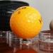 TERDEWE Clear Round Display Stand for Balls, Marbles & Collections - 18 PCS (Small, Medium, Large) - Buy Online on GoSupps.com