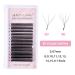 4D YY Eyelash Extensions - 2Y Shape Webart Prefabricated Compartment - Individual Extensions (0.07C 8-15mm Mixed) | 1 Pack - Buy Online on GoSupps.com
