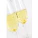 Edible Genuine Gold Leaf for Drinks by Barnabas Blattgold - 1 Pack - Buy Online on GoSupps.com