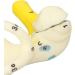 Ear Semicircular Canal Model Inner Ear Labyrinth Model Ear Internal Structure Model Ear Semicircular Canal Anatomical Model 5X Magnification Clear Structure Inner Ear Cochlea Mode - Buy Online on GoSupps.com