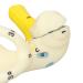Inner Ear Cochlea Model - 5X Magnification for Teaching Use - Buy Online on GoSupps.com