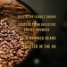 Bolivia Dark Roast Coffee Beans - 100% Specialty Arabica Single Origin - Chocolate Caramel Notes - 450g - Buy Online on GoSupps.com