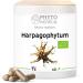 Harpagophytum root - Harpagophytum procumbens 60 capsules 280 MG (ORGANIC) - Buy Online on GoSupps.com