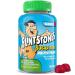Flintstones Multivitamins for Kids Sugar Free Kids Multivitamin Gummies with Vitamins A C E B6 & B12 Raspberry Flavored Gummy Vitamins 60 Count