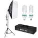 MOUNTDOG Softbox Lighting Kit,20"X28" Photography Continuous Lighting System Photo Studio Equipment with 95W Light Bulb 5500K for Portrait Product Shooting Photography Video Recording 1 Softox White-black