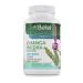 Premium Chanca Piedra (Stone Breaker) Capsules by Betel Natural - 1000 mg Per Serving - All Natural Urinary Tract Support - 90 Capsules