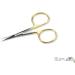 Scierra Scissors 4 Micro Tip - Precision Fishing Tool - Buy Online on GoSupps.com