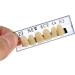168 Pcs Dental Synthetic Resin Denture Teeth Set - Halloween Horror False Teeth, Shade 23 A3 Upper Lower - Buy Online on GoSupps.com