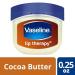 Vaseline Lip Therapy Cocoa Butter - Moisturizing Lip Balm (Pack of 2) | 0.25 Oz - Buy Online for International Shipping - Buy Online on GoSupps.com