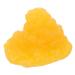 2pcs Fat Model Human Body Fat 5 Pound Fat Science Education Supplies Fat 1lb Base Sports Fitness TPE - Buy Online on GoSupps.com