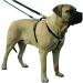 Kumfi Complete Control Dog Harness (X Large) - Buy Online on GoSupps.com