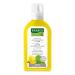 RAUSCH Coltsfoot Anti Dandruff Lotion 200 ml
