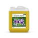 KitaMa massage oil aroma orchid - body oil for massages - care oil - aroma oil - nourishing relaxation oil - Thai - 5000ml (5 -liter) orchid 5 l (1 Pack)