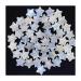 Gemstone Natural Folk Crafts Crystal Blue Moonstone Stars 10pcs for Gifts