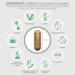 Biomenta Coffee & Green Tea Complex - 120 High-Dose Capsules with Cinnamon Pineapple B Vitamins | Vegan Premium Quality - Buy Online on GoSupps.com