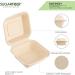50 Count Sugarfiber 6x6 Compostable Square Hinged Container - Eco-Friendly Plant Fibers - Buy Online on GoSupps.com