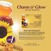 CHARM & GLOW De-Tan Facial Kit - 5 Steps for Radiant Glowing Skin | Pack of 6 - International Shipping - Buy Online on GoSupps.com