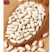 Spicy World Cannelini Beans 4 LB - Premium Dried White Kidney Beans from Italy - Buy Online on GoSupps.com