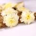 Gongju Chrysanthemum Dried (100g(0.22pounds)) - Buy Online on GoSupps.com