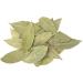 Virgolden Bay Leaves 25g - Premium Quality for Culinary Delights - Buy Online on GoSupps.com