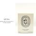 Diptyque Muguet Scented Candle 190g - Luxury Fragrance for Home | International Shipping - Buy Online on GoSupps.com