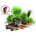 Coriander Seeds - Excreted Coriander Seeds - Reduced Seeds - Premium Quality from Bulgaria - 250g Bag - Buy Online on GoSupps.com