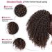 Curly Hair Ponytail Extension - Afro Drawstring Clip-in Bun for Black Women - Kinky Curly Ombre Brown - Buy Online on GoSupps.com