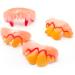 NOLITOY 15 Pcs White Fake Joke Teeth Set | Vampire Denture & Braces | Children's & Adult's Funny Artificial Teeth - Buy Online on GoSupps.com