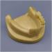 Fhuili teeth implant model - teeth lessons model the planting practice model - simulation oral dental teeth demonstration model - lower half teeth model for study lessons a