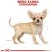 Royal Canin Chihuahua Junior Dog Food 0.5 kg - Buy Online on GoSupps.com