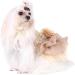 Sequin Silky Tutu Dog Dress Princess Costume - L Gold - Buy Online on GoSupps.com