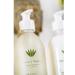 Provence Sante Shower Gel - Hydrating Cleansing Body Wash for Dry Sensitive Skin (Vetiver) - 10.2 Oz - Buy Online on GoSupps.com