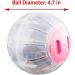 VTurboWay 2 Pcs Hamster Running Ball Plastic Exercise Ball Hamster Useful Transparent Mini Training Ball (Dia: 4.7 inch) - Buy Online on GoSupps.com