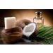CEO Caf - Brazilian Arabica Coffee Enriched with Yung Kien Ganoderma Mushroom and Coconut Oil - No Added Sugar - Buy Online on GoSupps.com