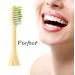 4 Pack Mango Replacement Brush Heads for HY1100 and HY1200 Philips One Sonicare Electric Toothbrushes - Buy Online on GoSupps.com