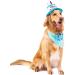 Ushang Pet Extral Large Dog Birthday Cake Hat & Birthday Bandana Scarfs Set Blue  Dog Happy Birthday Hat with Colorful Candles  Large Dog Birthday Party Supplies Decorations Birthday Hat & Bandana - Buy Online on GoSupps.com