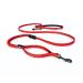 Ezydog jogging dog leash for small and medium -sized dogs - jogging leash runner lite 210cm - leash for jogging with dog reflective elastic with bungee jerk dampers (12mm red) 1.2 x 210cm red