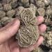 Crystal Rough 1pc raw Crystals Quartz Rough Desert Rose Stone Original Crystals - Buy Online on GoSupps.com
