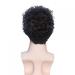 Realistic Black Curly Wig for Men - Fluffy Daily Hairstyle for All Ages - Buy Online on GoSupps.com