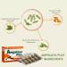 Ampalaya Supplement - 550mg 30 Capsules with Banaba Turmeric and Bitter Melon. Ampalaya Plus Capsules - Halal Herbal Suplements - Buy Online on GoSupps.com