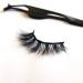 MOLAMOYA Magnetic Liquid Eyeliner Magnet Lashes Set - 7 Pairs with Tweezers | Easy to Wear - Buy Online on GoSupps.com