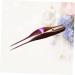 Lurrose LED Ear Cleaner and Ear Picking Tool with Flashlight for Effective Ear Wax Removal - Buy Online on GoSupps.com