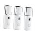 FOMIYES 3 Pcs Nano Facial Mister Steamer Mini Face Spray Device Sprayer Fashion L2 Spatula 10.7*3.7cmx3pcs Whitex3pcs