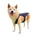 Dog Back Brace IVDD Pet Hip Brace Support with Leash Comfortable Dog Spine Support Vest for Small and Medium Sized Pets with Arthritis Herniated Disc Or Spinal Surgery Recovery (XL)