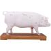 Acupuncture Pig Model Veterinary Acupuncture Animal Anatomy Model Medical Training Aid - Buy Online on GoSupps.com