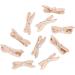 10pcs Butterflies Nail Art Decoration Nails Embellishments Nail Art Accessories for Resin Mold Jewelry Accessories 2 - Buy Online on GoSupps.com