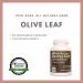Remedy's Nutrition Olive Leaf Extract Capsules - 1000mg per Capsule, 60000mg per Bottle - Vegan Friendly - Buy Online on GoSupps.com